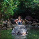 What is Ethical Elephant Tourism in Asia?
