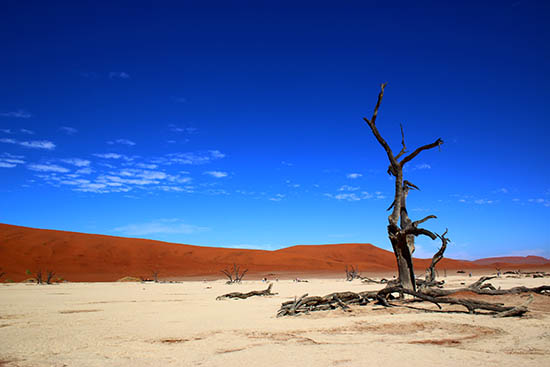 Desert Landscape Namibia