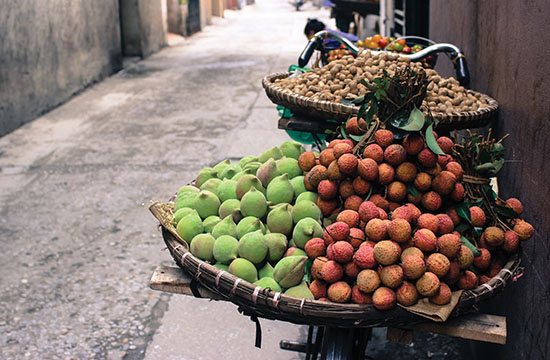 Travelling through the lens - Vietnam